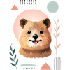 Quokka