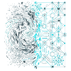 Digital order and chaos