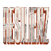 Resilienz