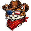 Cat Cowboy USA