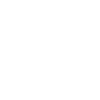 Own Fortune in Gothic Latin