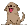 Hund