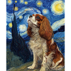 Cavalier King Charles Spaniel