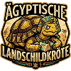 Ägyptische Landschildkröte mit Pharao