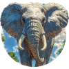 Elephant Design