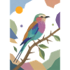 Bunter Vogel Fliederbrustwalze Design 