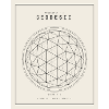 Geodesian Sphere Geometry Pattern