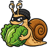 Escargot voleur de salade humoristique