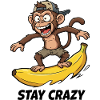Banana Surfing Monkey