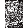 Night Forest Owl Illustration
