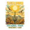 Saguaro National Park Desert Sunrise