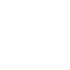 Beagle « Édition Noire »