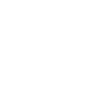 Jack Russell Terrier "Black Edition"