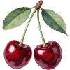Cerises