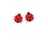 Ladybug Lucky Charm Partner Gift