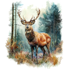 Cerf, chevreuil, cerf