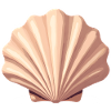 Muschel