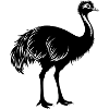 Emu