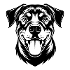 Happy Rottweiler Rotti Head Portrait