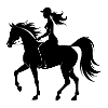 Equestrian horse