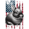 Lapin nain US Zwergkaninchen