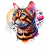 leopard cat