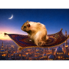 Chico 11 : Chico dans Aladdin