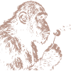 Chimpanzee Blowing Dandelion Art Monkey Nature