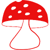 Red fly agaric mushrooms