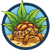 Tortue égyptienne