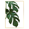 Monstera Tropical Leaves in Gold Frame