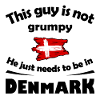 Denmark Flag in Brush Style