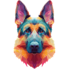 Sheepdog