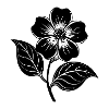 Dogwood Flower