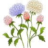 Fleur