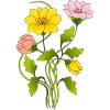 Fleur