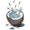 Coconut Pool Jumping Party