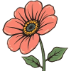 Fleurs pastel fleurs, rose cadeau maman