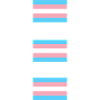 Drapeaux de la Fierté Trans