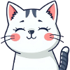 Katze Kätzchen Katzenshirt Geschenk