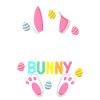 Im the Teacher Bunny