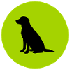 Dog silhouette in lime green circle