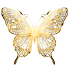 Golden Glow Butterfly