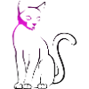 Pink Cat