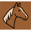 Horse Profile Head Nature