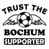 Bochum Football Ball Pattern