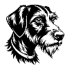 German Wirehaired Pointer