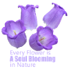 Every_Flower_is_a_Soul_Blooming_in_Nature