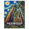 Redwood National Park Sky California