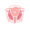 Hysterectomy uterus uterus ovary